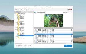 stellar data recovery file type view