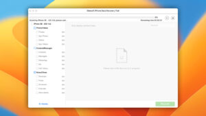 ibeesoft iphone data recovery scanning progress