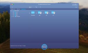 stellar data recovery deleted file list