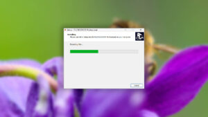 filerecovery 2022 professional setup step 4